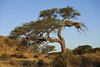 Namibia_2013 (186)