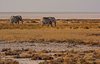 Namibia_Sep_2013 (154)