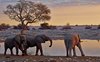 Namibia_Sep_2013 (96)