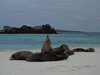 Galapagos_0429