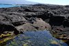 Galapagos_1488