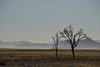 Namibia_Sep_2013 (12)